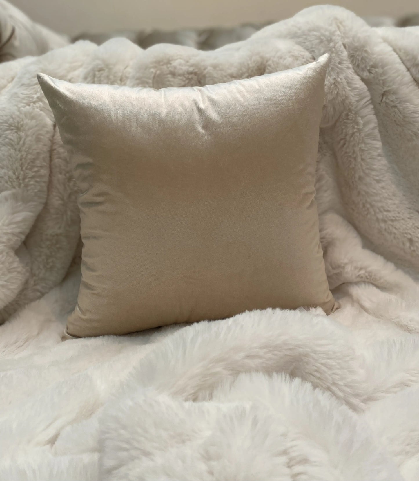 COUSSIN VELOUR UNI BLANC CASSÉ