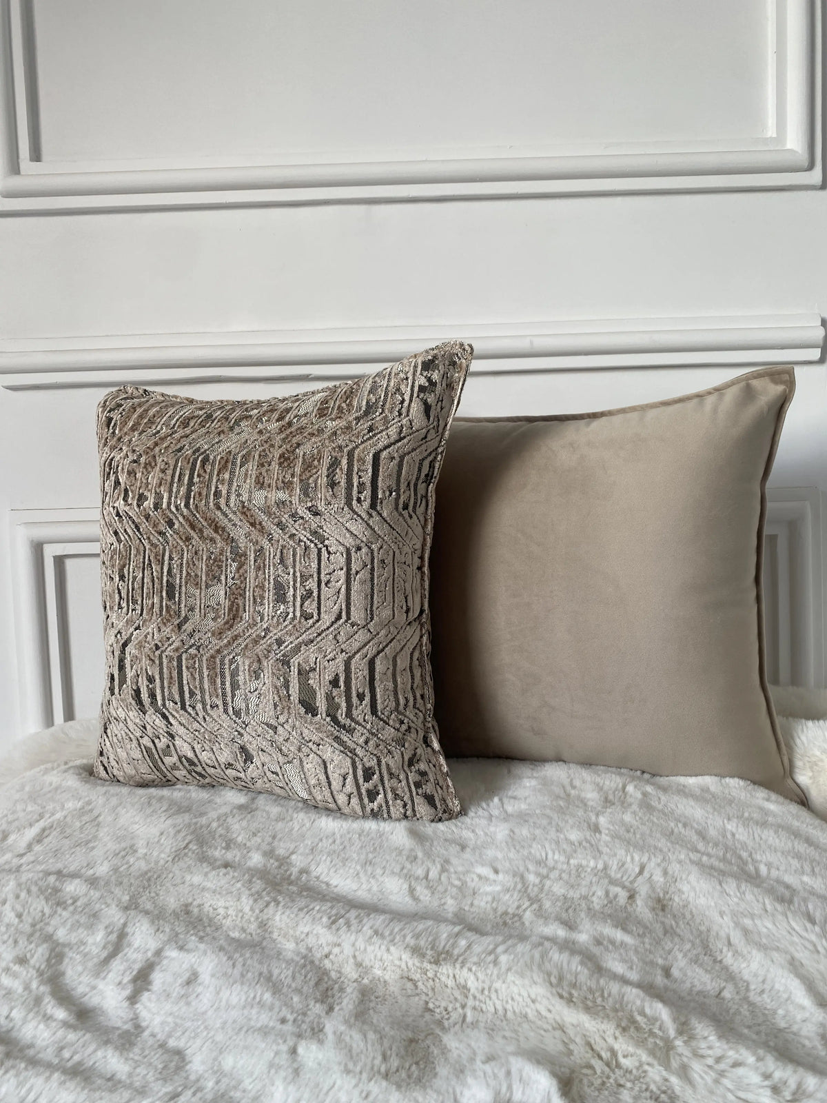 COUSSIN VELOURS CISELÉ ARGENTÉ