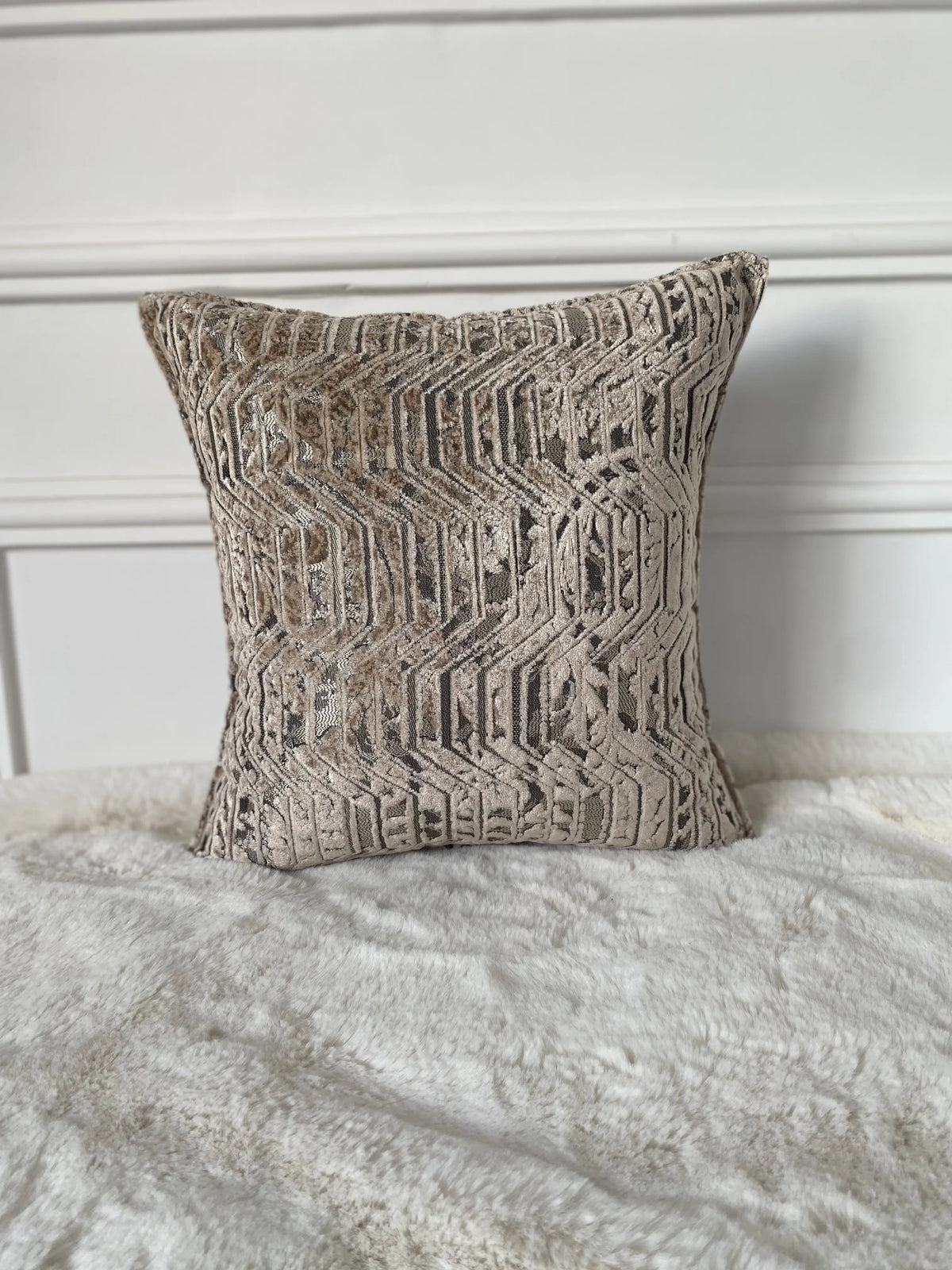 COUSSIN VELOURS CISELÉ ARGENTÉ